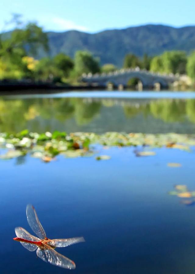 今日大暑丨迎風沐雨，憧憬未來(圖5)