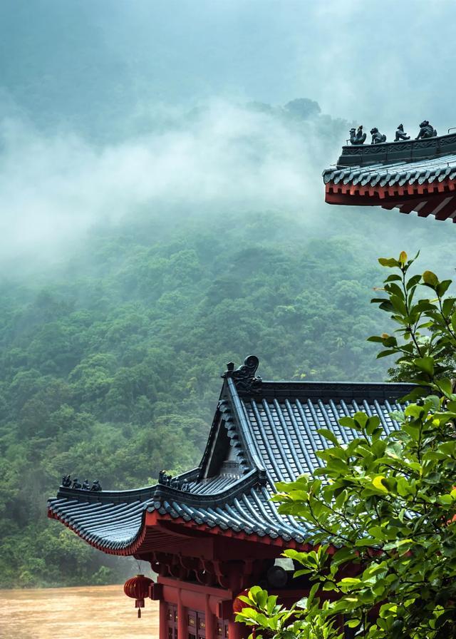 今日大暑丨迎風沐雨，憧憬未來(圖3)