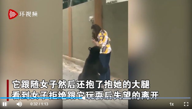 屢犯不改？墨西哥一只曾嗅女游客的黑熊又抱女子大腿 游客鎮定自拍(圖1)