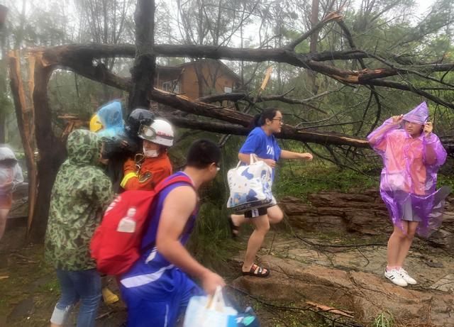 臺風“米克拉”登陸福建漳浦 景區樹倒游客被困(圖3)