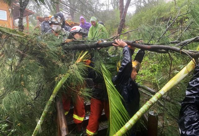 臺風“米克拉”登陸福建漳浦 景區樹倒游客被困(圖4)